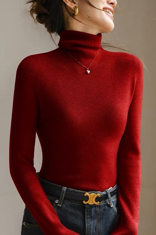 Closette | High Neck Slim Fit Ribbed Knit Top For Woman